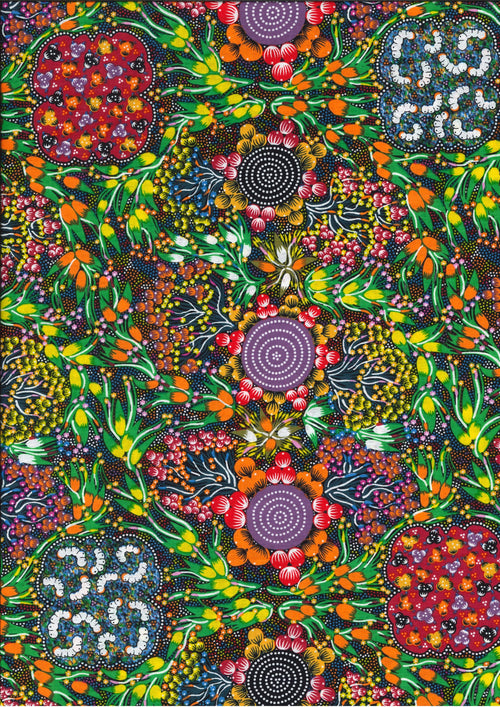 Bush Plum + Bush Banana Dreaming Multi By Marilyn Abbott