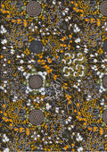 Bush Plum + Bush Banana Dreaming Tan By Marilyn Abbott
