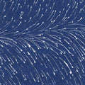 Dropping Seeds Ocean by Roseanne Morton