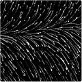 Dropping Seeds Black by Roseanne Morton