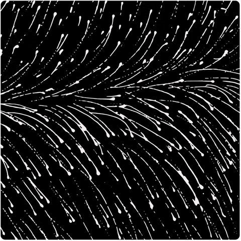 Dropping Seeds Black by Roseanne Morton