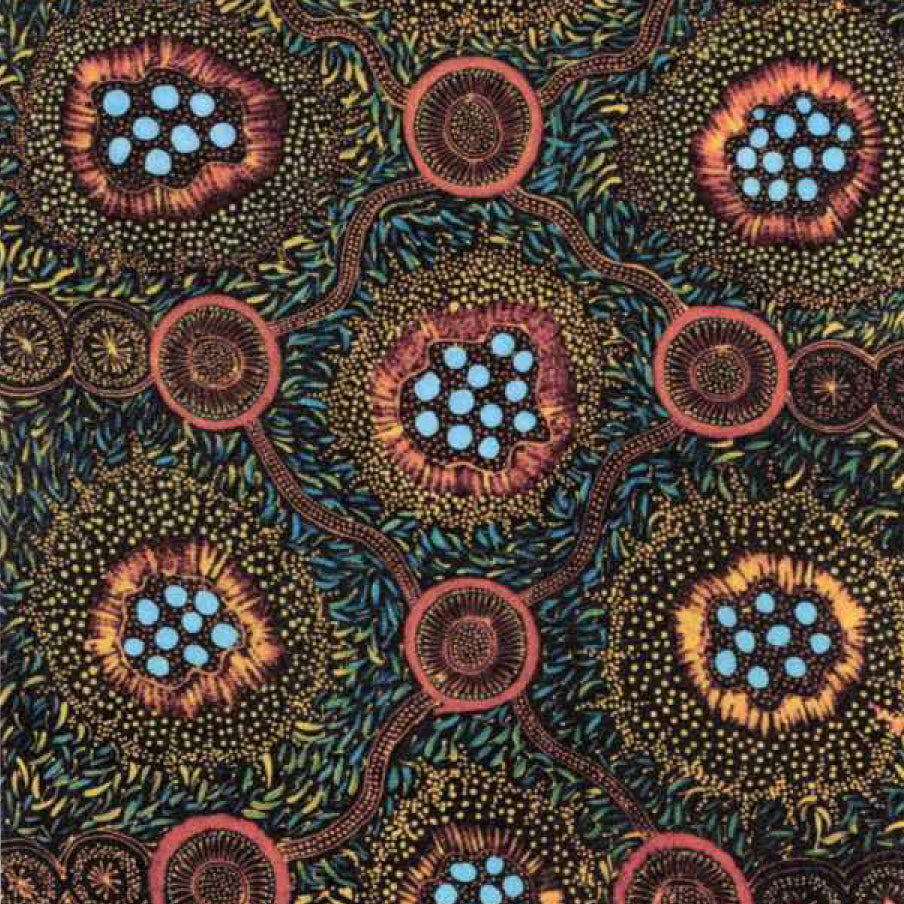 Wild Bush Honey Flowers Dreaming Sunflower by Tanya Price Nangala