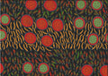 Wild Seeds And Bush Tucker Red By Lorraine Granites