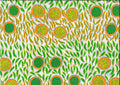 Wild Seeds And Bush Tucker Orange By Lorraine Granites